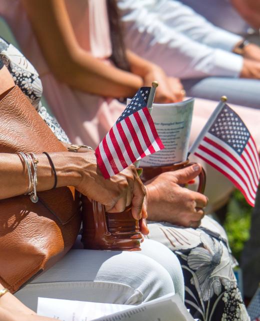 lawjr-flag-5347106_1280